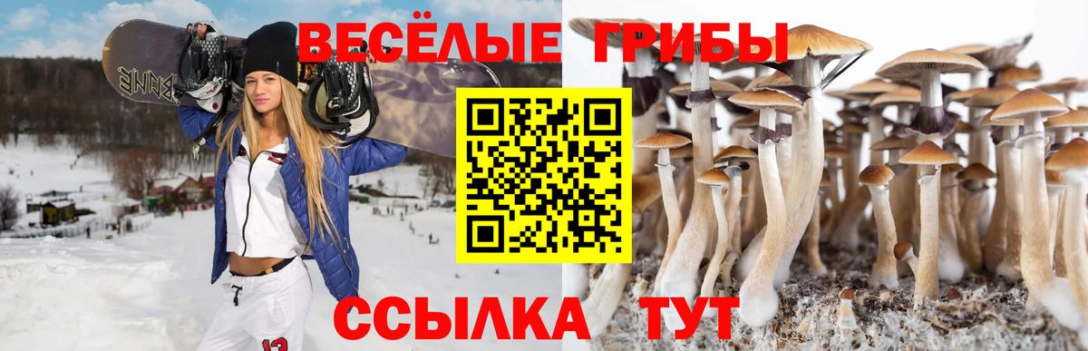 Клин  Галлюциногенные грибы мухоморы  Вход с VPN 
